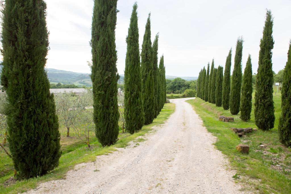 Podere Il Tigliolo Castiglione d'Orcia Ngoại thất bức ảnh