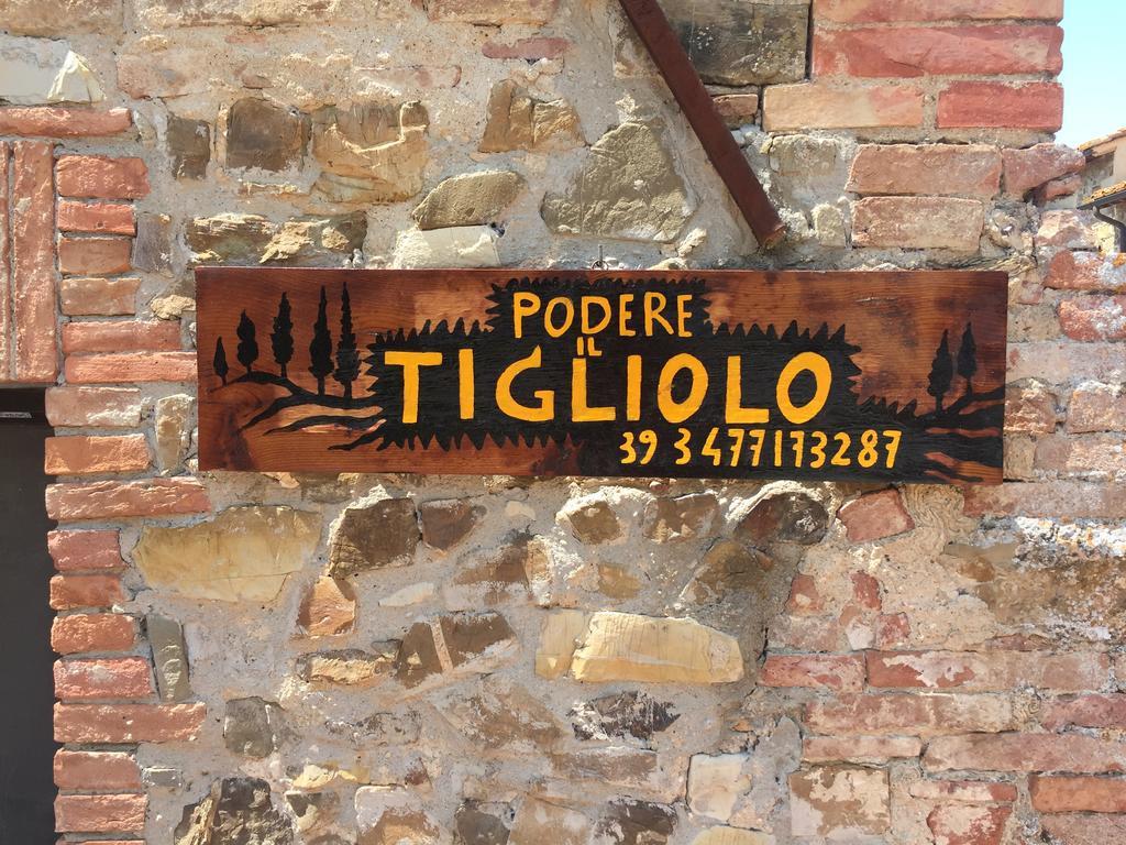 Podere Il Tigliolo Castiglione d'Orcia Ngoại thất bức ảnh