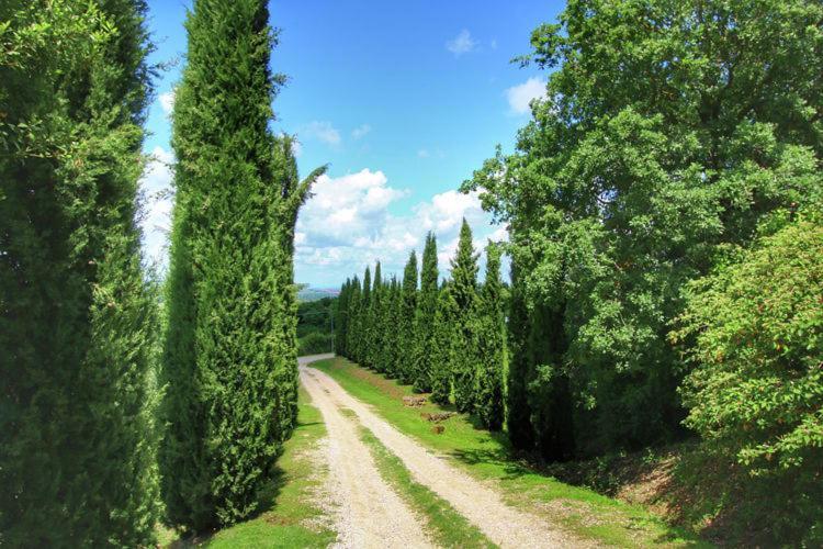 Podere Il Tigliolo Castiglione d'Orcia Ngoại thất bức ảnh